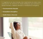 TRIO.MAGNÉSIO - Longa Duração: 2 Meses de Uso, Bisglicinato - Dimalato - Taurato, 260mg Alta Concentração,120 Cápsulas, Fortalvit - Imagem 3